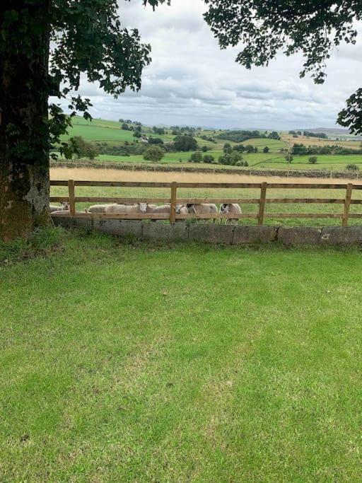 Ivy House Farm, Near Longnor Vila Longnor  Exterior foto
