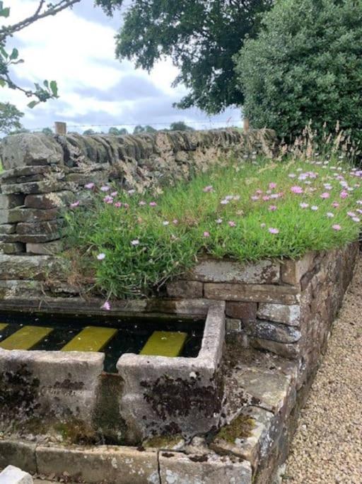 Ivy House Farm, Near Longnor Vila Longnor  Exterior foto